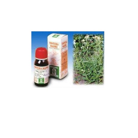 Specchiasol Achillea 51 tintura madre rimedio fitoterapico 50 ml