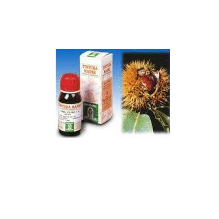 Specchiasol Agnocasto 53 tintura madre rimedio fitoterapico per disturbi femminili 50 ml Specchiasol Agnocasto 53 tintura madre rimedio fitoterapico per disturbi femminili 50 ml