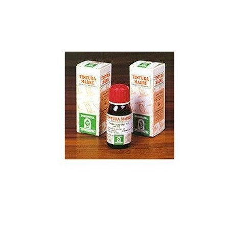 Specchiasol Artiglio del Diavolo 35 Tintura Madre Fitoterapica 50 ml Specchiasol Artiglio del Diavolo 35 Tintura Madre Fitoterapica 50 ml