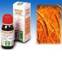 Specchiasol Avena Sativa 3 Tintura Madre Rimedio Fitoterapico 50 ml