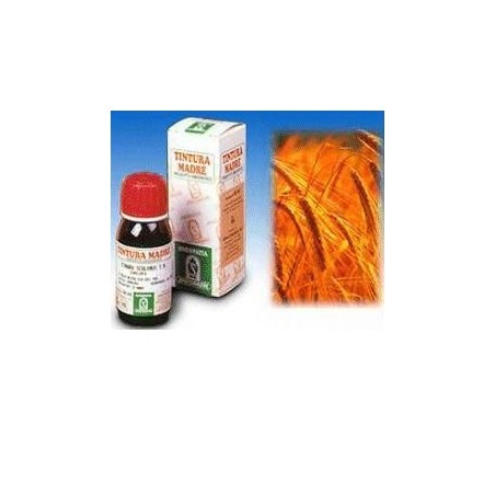 Specchiasol Avena Sativa 3 Tintura Madre Rimedio Fitoterapico 50 ml