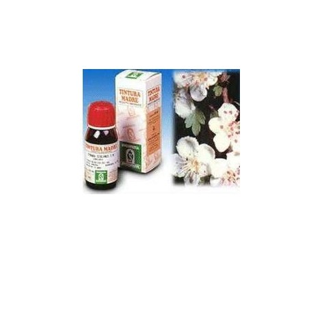 Specchiasol Biancospino Tintura Madre per il cuore 50 ml Specchiasol Biancospino Tintura Madre per il cuore 50 ml