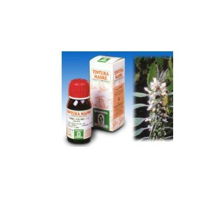 Specchiasol Cardiaca 16 tintura madre rimedio fitoterapico 50 ml