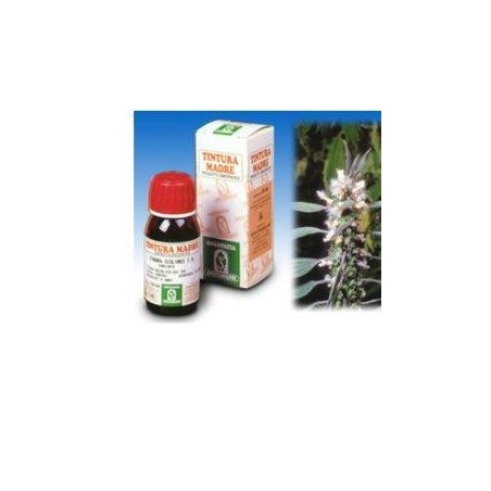 Specchiasol Cardiaca 16 tintura madre rimedio fitoterapico 50 ml Specchiasol Cardiaca 16 tintura madre rimedio fitoterapico 50 ml