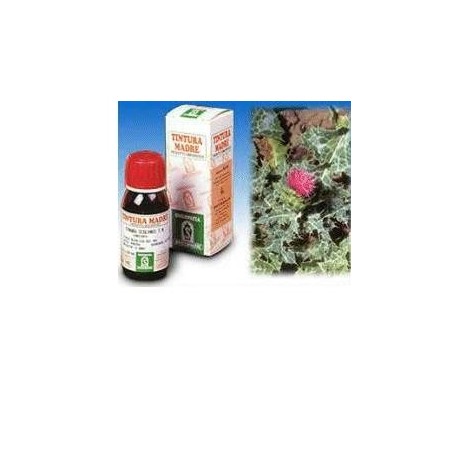 Specchiasol Cardo Mariano tintura madre rimedio fitoterapico depurativo 50 ml Specchiasol Cardo Mariano tintura madre rimedio fitoterapico depurativo 50 ml