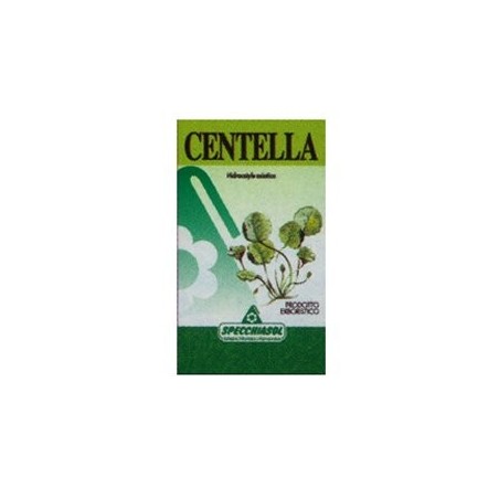 Specchiasol Le Erbe - Centella Asiatica integratore per le game 80 capsule Specchiasol Le Erbe - Centella Asiatica integratore per le game 80 capsule