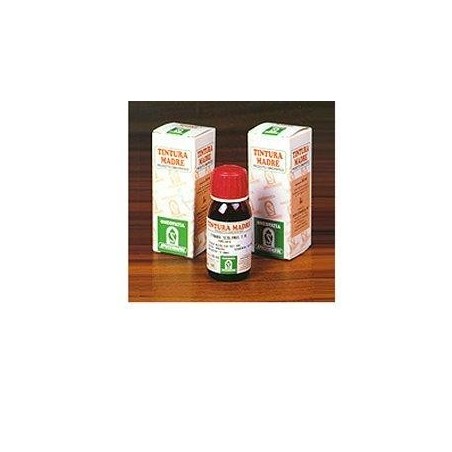 Specchiasol Damiana 29 tintura madre rimedio fitoterapico stimolante 50 ml Specchiasol Damiana 29 tintura madre rimedio fitoterapico stimolante 50 ml