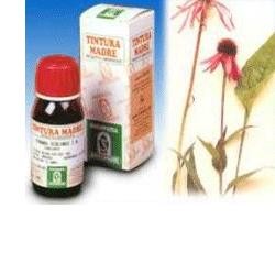 Specchiasol Echinacea 59 tintura madre rimedio fitoterapico per difese 50 ml