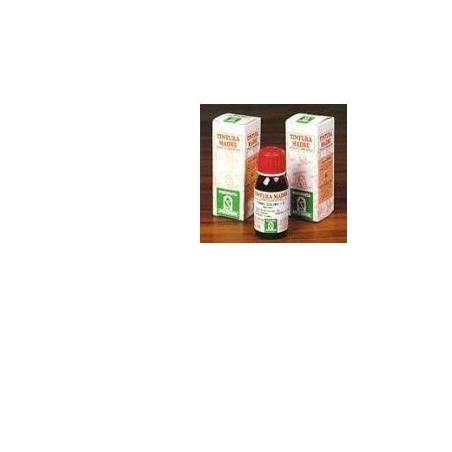 Adamah Eleuterococco tintura madre rimedio fitoterapico tonico 50 ml Adamah Eleuterococco tintura madre rimedio fitoterapico tonico 50 ml