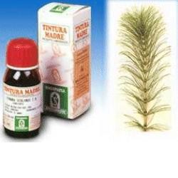 Specchiasol Equiseto tintura madre rimedio naturale drenante 50 ml