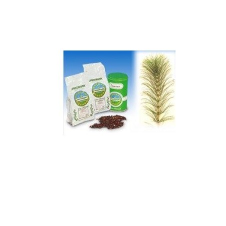 Specchiasol Equiseto sommità per tisane, infusi e decotti drenanti 1000 g Specchiasol Equiseto sommità per tisane, infusi e decotti drenanti 1000 g