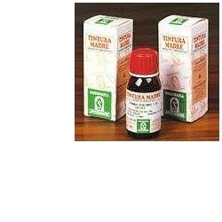 Specchiasol Erisimo tintura madre rimedio naturale 50 ml