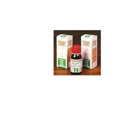 Specchiasol Erisimo tintura madre rimedio naturale 50 ml Specchiasol Erisimo tintura madre rimedio naturale 50 ml