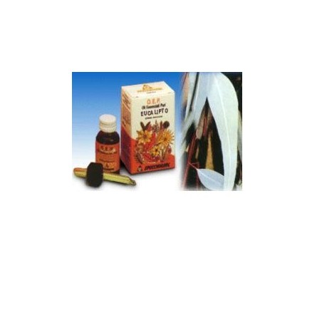 Specchiasol Eucalipto olio essenziale puro balsamico 10 ml Specchiasol Eucalipto olio essenziale puro balsamico 10 ml