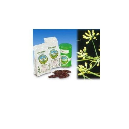 Specchiasol Semi Interi di Finocchio Dolce per Infusi 1000 g Specchiasol Semi Interi di Finocchio Dolce per Infusi 1000 g