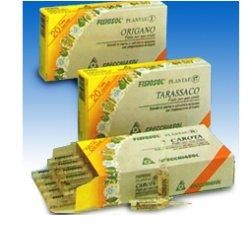 Fisiosol Plantae Integratore da Bere con Artiglio del Diavolo 20 fiale