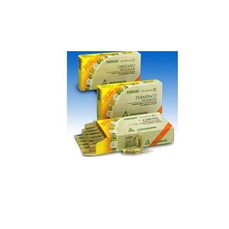 Specchiasol Fisiosol Plantae Salvia Integratore da Bere 20 Fiale Specchiasol Fisiosol Plantae Salvia Integratore da Bere 20 Fiale