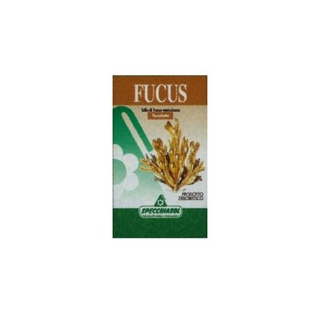 Specchiasol Le Erbe Fucus Integratore Dimagrante 150 Tavolette Specchiasol Le Erbe Fucus Integratore Dimagrante 150 Tavolette