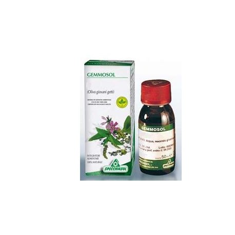 Specchiasol Gemmosol 28 Olivo integratore per la circolazione 50 ml