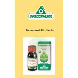 Specchiasol Gemmosol 43 - Sorbo macerato glicolico 50 ml