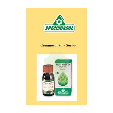 Specchiasol Gemmosol 43 - Sorbo macerato glicolico 50 ml Specchiasol Gemmosol 43 - Sorbo macerato glicolico 50 ml