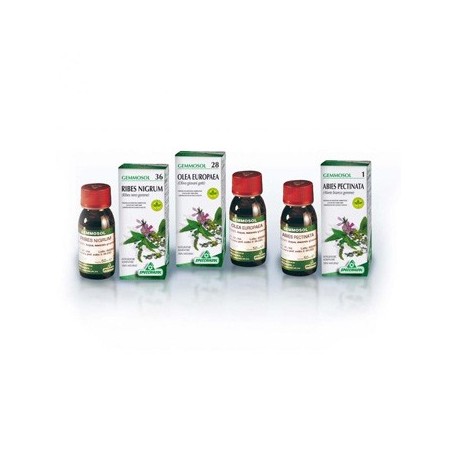 Specchiasol Gemmosol 46 Tiglio argentato gemmoderivato 50 ml Specchiasol Gemmosol 46 Tiglio argentato gemmoderivato 50 ml