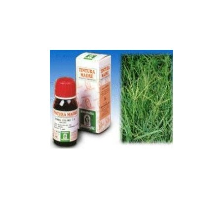 Gramigna 37 Tintura madre drenante per calcoli e cellulite 50 ml Gramigna 37 Tintura madre drenante per calcoli e cellulite 50 ml