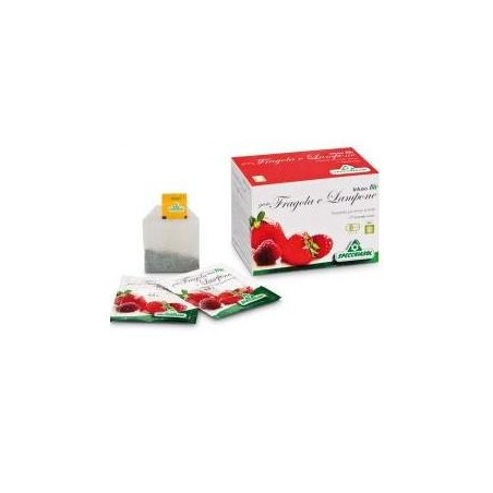 Specchiasol Infuso biologico gusto Fragola e Lampone 20 filtri Specchiasol Infuso biologico gusto Fragola e Lampone 20 filtri