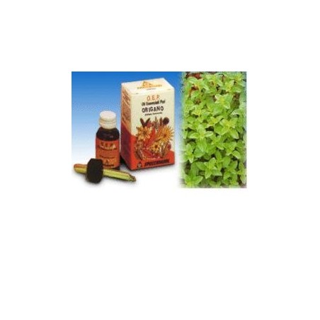 Origano Olio essenziale puro 10 ml Origano Olio essenziale puro 10 ml