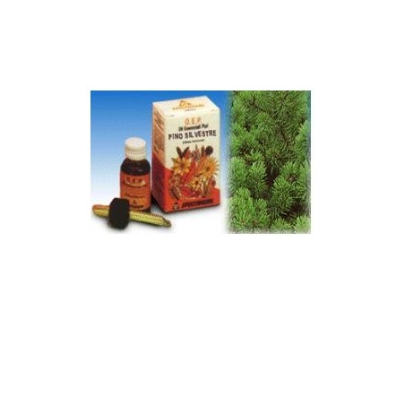 Specchiasol Pino Silvestre olio essenziale puro 10 ml Specchiasol Pino Silvestre olio essenziale puro 10 ml