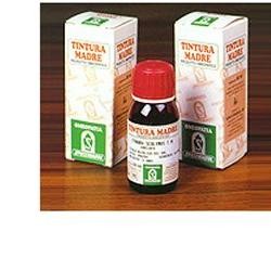 Specchiasol Pungitopo 24 tintura madre 50 ml