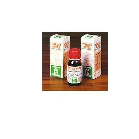 Specchiasol Pungitopo 24 tintura madre 50 ml Specchiasol Pungitopo 24 tintura madre 50 ml