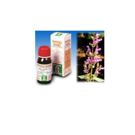 Specchiasol Salvia 25 tintura madre 50 ml