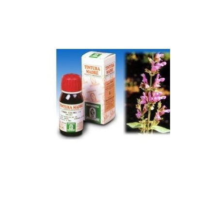 Specchiasol Salvia 25 tintura madre 50 ml Specchiasol Salvia 25 tintura madre 50 ml