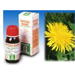 Specchiasol Tarassaco 20 Tintura Madre 50 ml