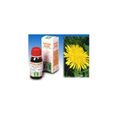 Specchiasol Tarassaco 20 Tintura Madre 50 ml Specchiasol Tarassaco 20 Tintura Madre 50 ml