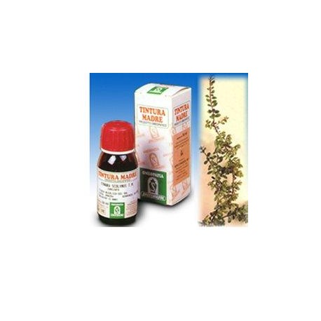 Specchiasol Uva Ursina 30 Tintura Madre 50 ml