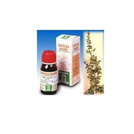 Specchiasol Uva Ursina 30 Tintura Madre 50 ml Specchiasol Uva Ursina 30 Tintura Madre 50 ml