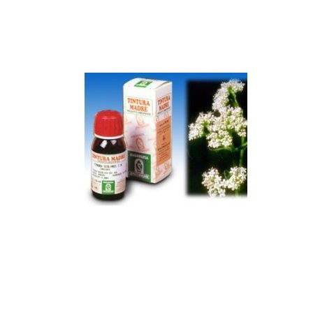 Specchiasol Valeriana 36 Tintura Madre 50 ml