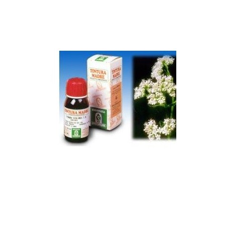 Specchiasol Valeriana 36 Tintura Madre 50 ml Specchiasol Valeriana 36 Tintura Madre 50 ml