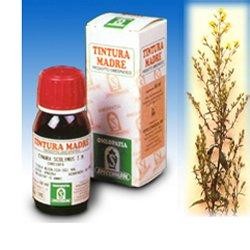 Specchiasol Verga Oro 26 Tintura Madre 50 ml