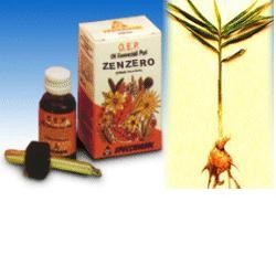 Specchiasol Olio essenziale puro di Zenzero