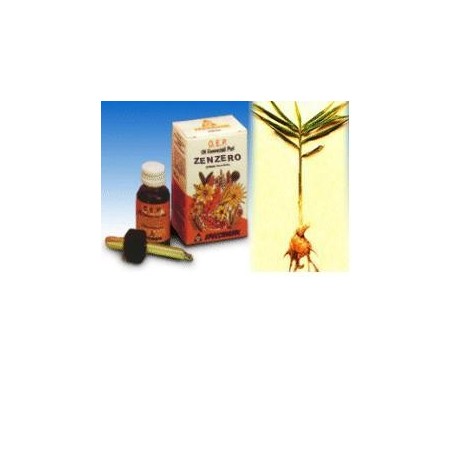 Specchiasol Olio essenziale puro di Zenzero Specchiasol Olio essenziale puro di Zenzero