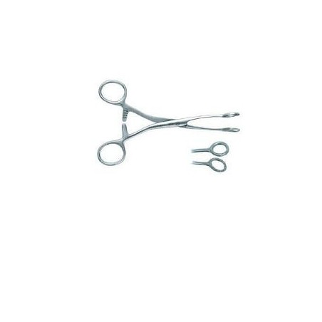 Pinza Tiralingua Collin Pinza Tiralingua Collin