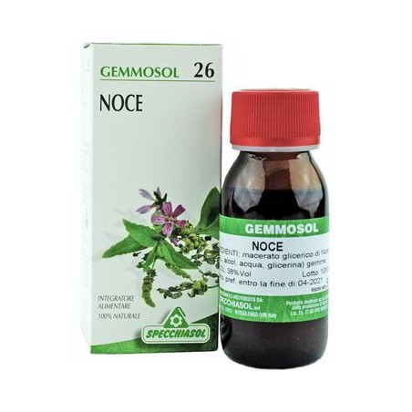 Specchiasol Gemmosol 26 Noce integratore intestinale fitoterapico 50 ml Specchiasol Gemmosol 26 Noce integratore intestinale fitoterapico 50 ml