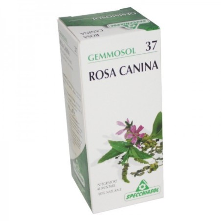 Specchiasol Gemmosol 37 Rosa Canina integratore per le difese immunitarie 50 ml Specchiasol Gemmosol 37 Rosa Canina integratore per le difese immunitarie 50 ml