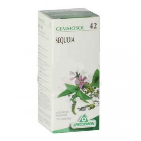 Specchiasol Gemmosol 42 Sequoia integratore digestivo 50 ml