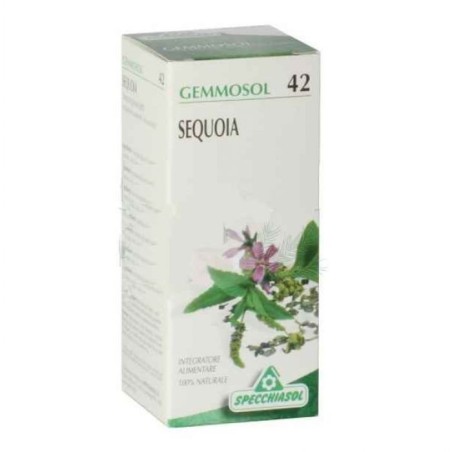 Specchiasol Gemmosol 42 Sequoia integratore digestivo 50 ml Specchiasol Gemmosol 42 Sequoia integratore digestivo 50 ml
