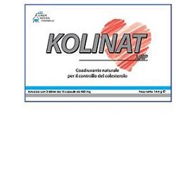 Leader Natural Pharma Kolinat integratore per il colesterolo 30 capsule
