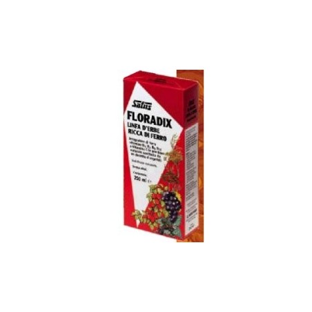 Floradix Ferro e Vitamine 250 ml Floradix Ferro e Vitamine 250 ml